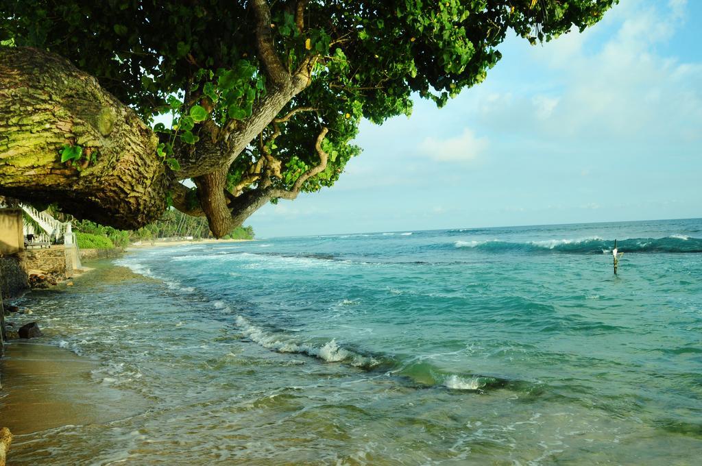 Villa Breeze Talpe Unawatuna Exteriör bild
